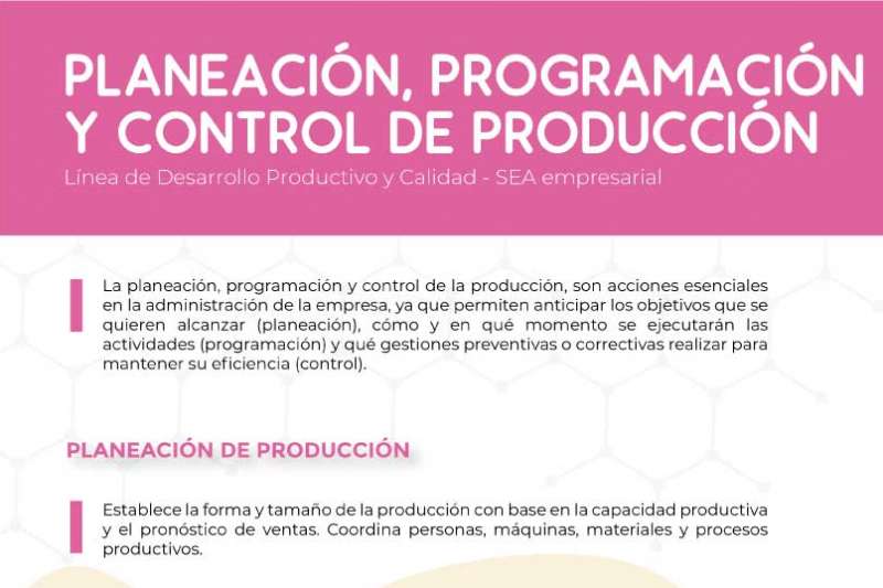PlaneaciÃ³n, programaciÃ³n y control de producciÃ³n 