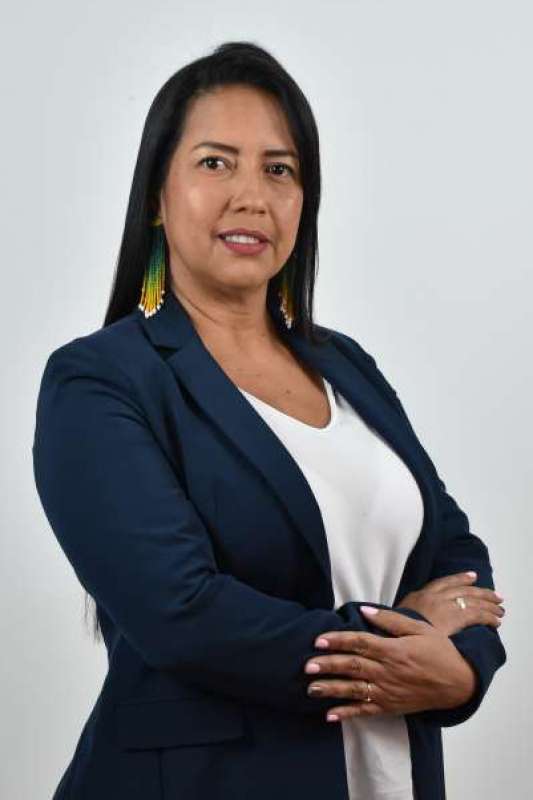 Diana Paola  Ticora Ramirez 